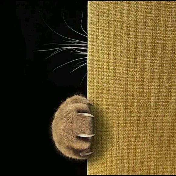 🌸WELCOME🌸 - Picture 5 of 16